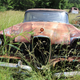 this Edsel was part of the same hoard
